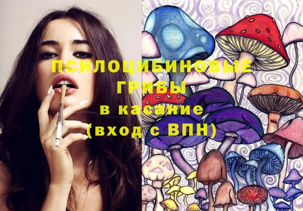 ГАЛЛЮЦИНОГЕННЫЕ ГРИБЫ Осташков