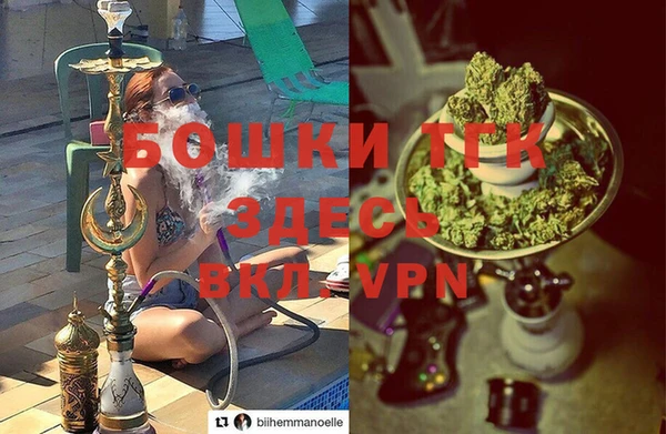 ГАЛЛЮЦИНОГЕННЫЕ ГРИБЫ Осташков
