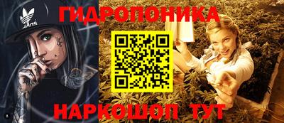 мяу мяу мука Канаш