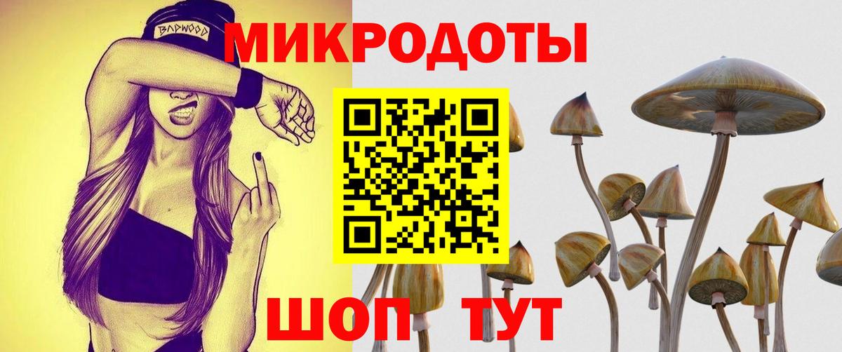 Галлюциногенные грибы MAGIC MUSHROOMS  Псилоцибиновые грибы ЛСД  закладки  Вход с VPN  Ступино 